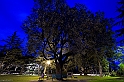 Ortobene, giardini by night - (IMG_2335_2)